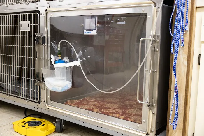 Lakeside Spears Animal Hospital Picture 8