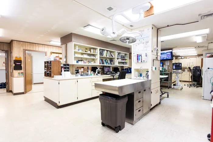 Lakeside Spears Animal Hospital Picture 10