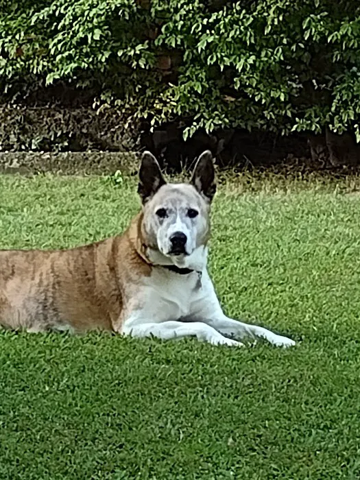 Lakeside Veterinary Clinic Picture 1