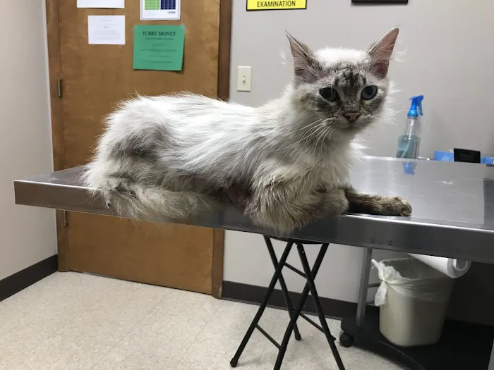 Lakeside Veterinary Clinic Picture 2