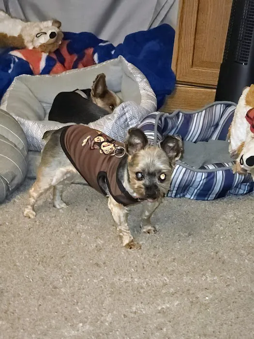 Lakeside Veterinary Clinic Picture 7