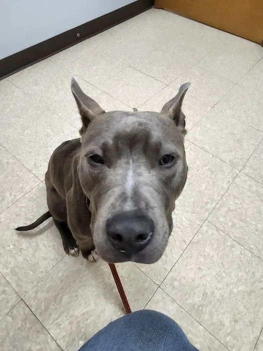 Lakeside Veterinary Clinic Picture 6