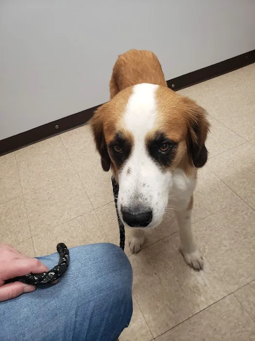 Lakeside Veterinary Clinic Picture 5