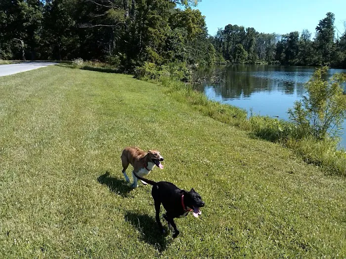 Lakeside Veterinary Clinic Picture 8