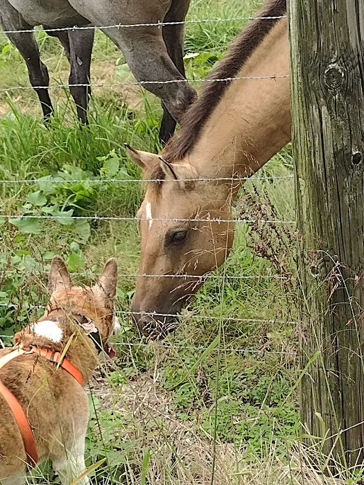 Lakeside Veterinary Clinic Picture 9