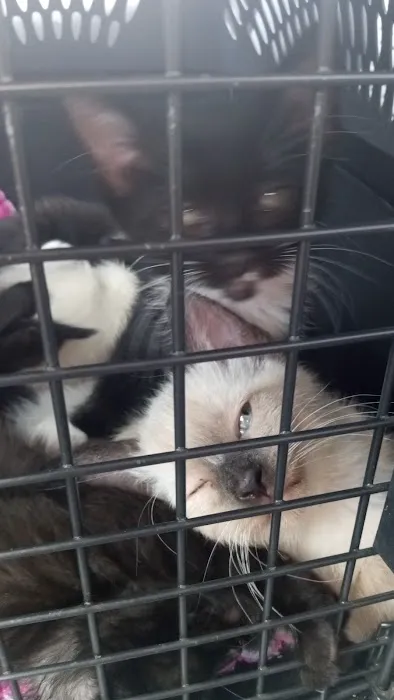 TimberTrails Low Cost Veterinary Services Picture 1