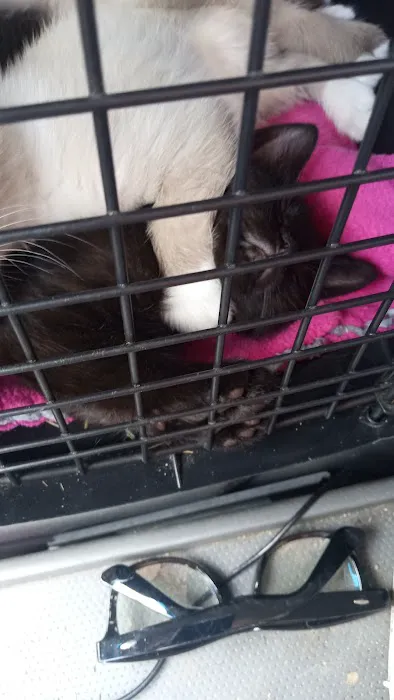 TimberTrails Low Cost Veterinary Services Picture 3