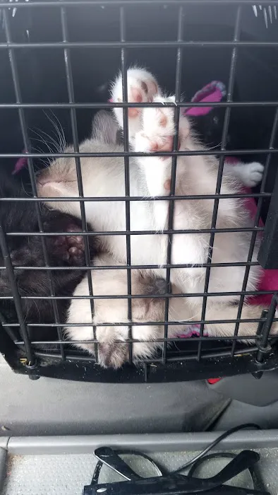 TimberTrails Low Cost Veterinary Services Picture 7