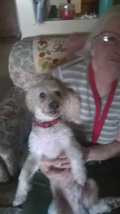 TimberTrails Low Cost Veterinary Services Picture 6