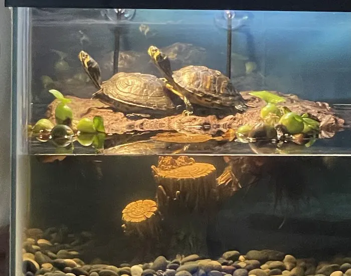 Central Hospital For Animals - Carbondale Picture 7