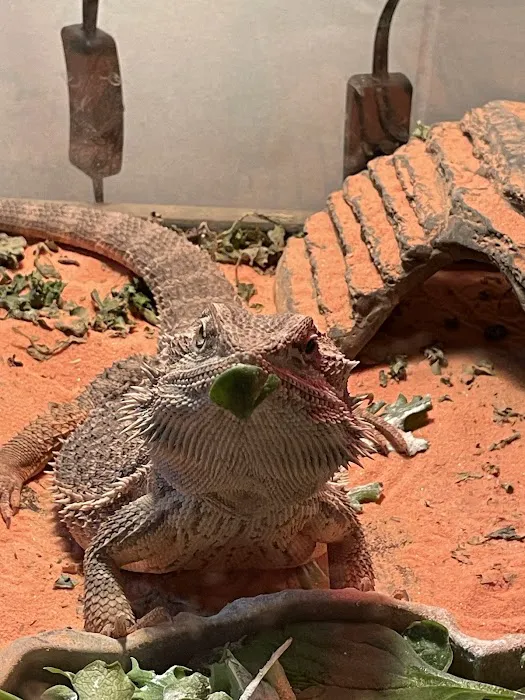 Central Hospital For Animals - Carbondale Picture 10