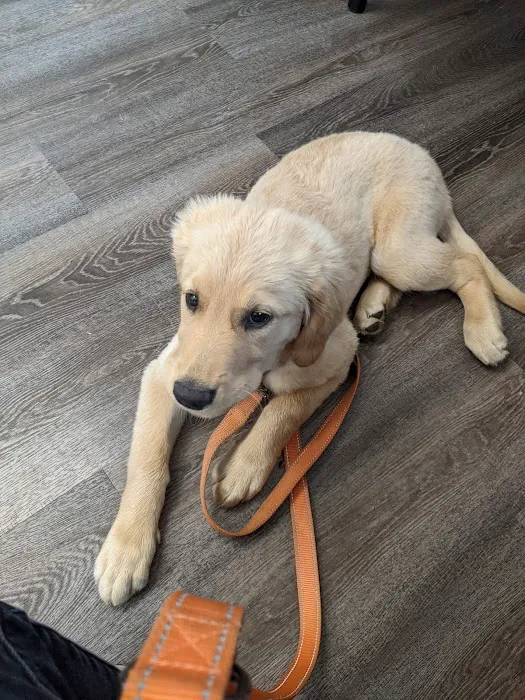 Chester Animal Hospital Picture 3