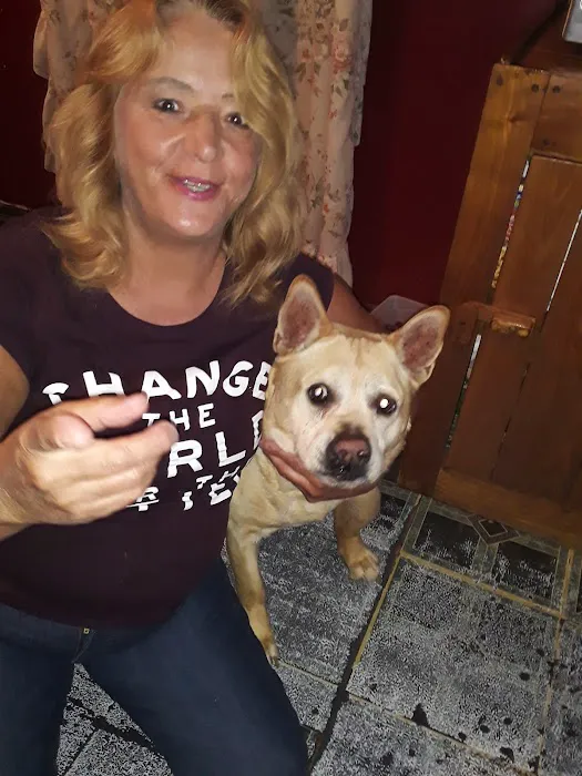 Chester Animal Hospital Picture 2