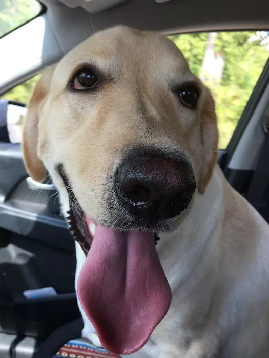 Chester Animal Hospital Picture 5