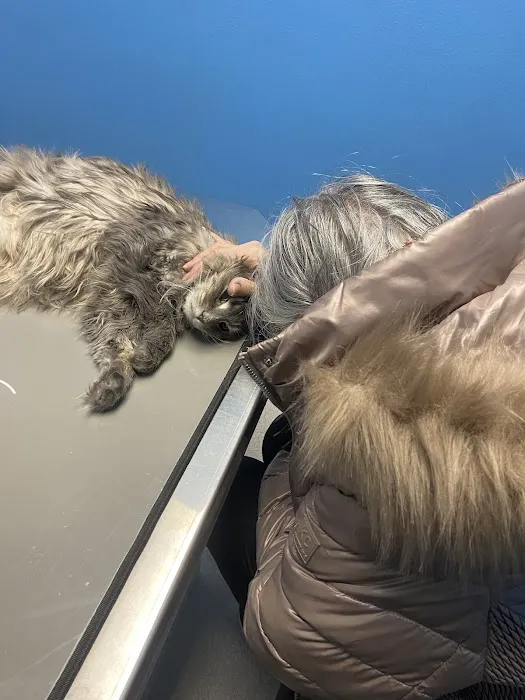 Chester Animal Hospital Picture 8