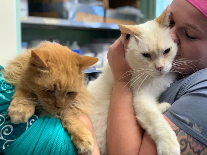 Red Bud Veterinary Service, PC Picture 6