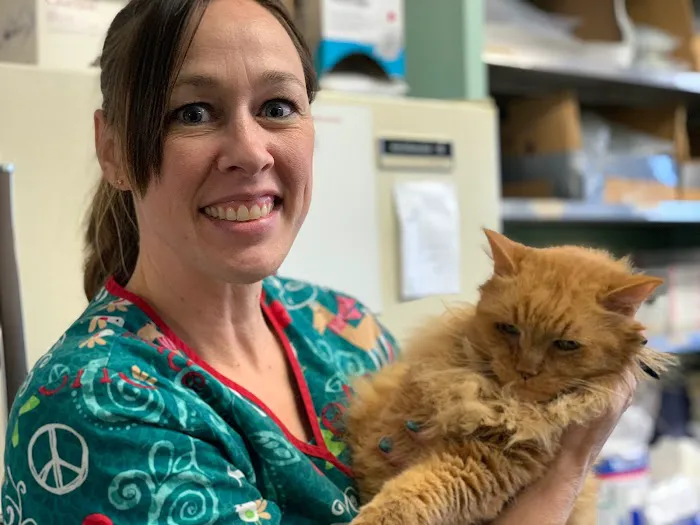 Red Bud Veterinary Service, PC Picture 3