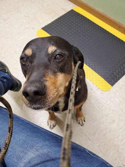 Red Bud Veterinary Service, PC Picture 7