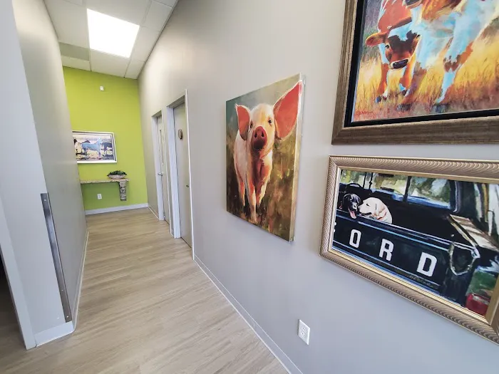 Riverstone Animal Hospital Picture 3