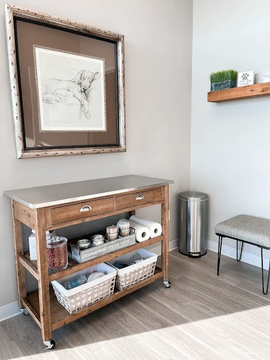 Riverstone Animal Hospital Picture 7