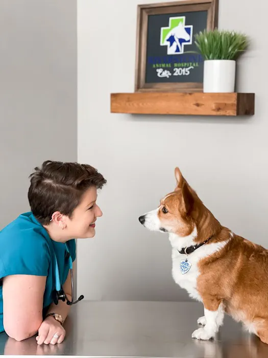 Riverstone Animal Hospital Picture 9