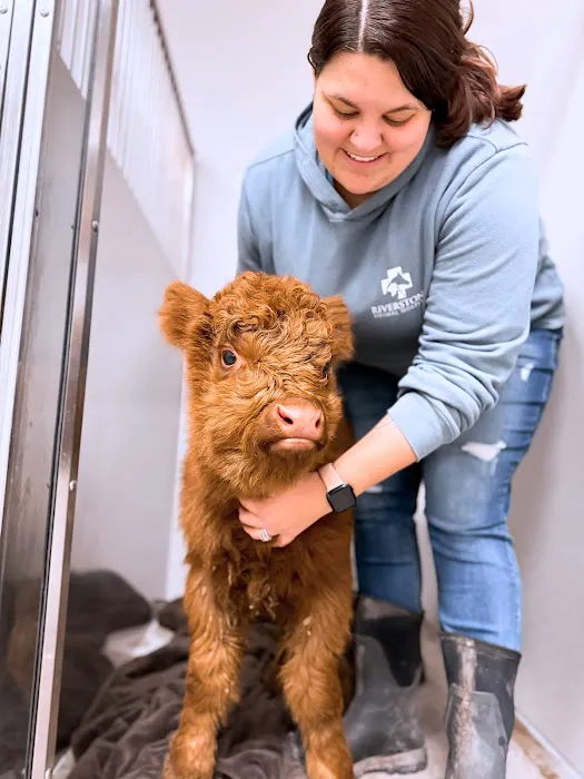 Riverstone Animal Hospital Picture 10