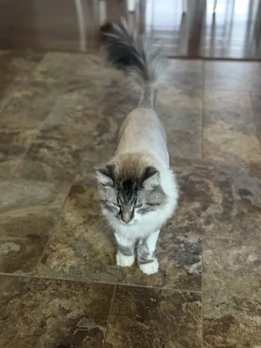 Mueller Veterinary Services Picture 1