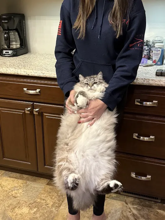 Mueller Veterinary Services Picture 2