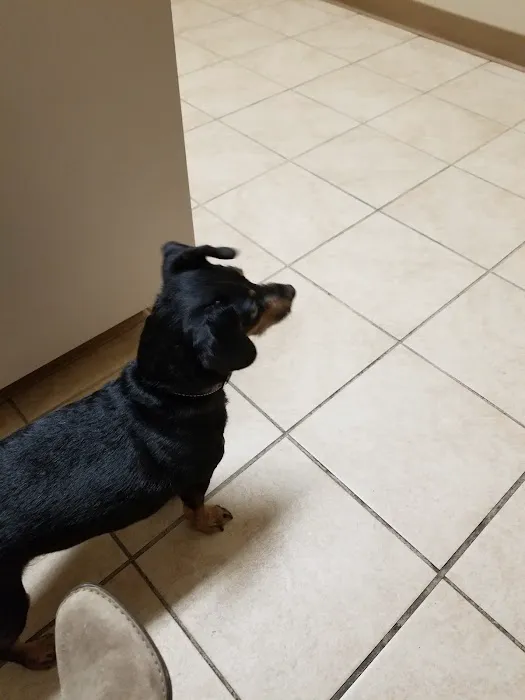 Mueller Veterinary Services Picture 5