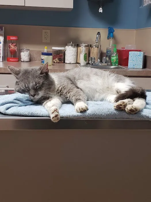 Mueller Veterinary Services Picture 9