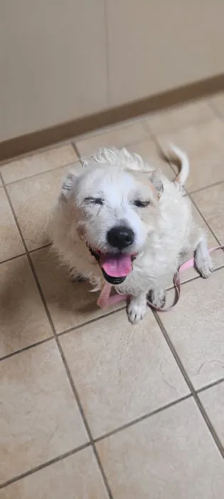 Mueller Veterinary Services Picture 10