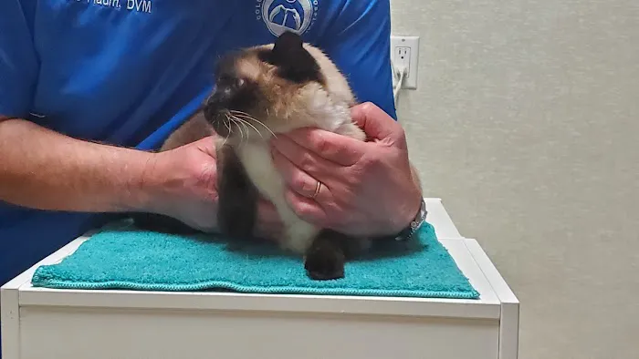 Columbia Animal Hospital Picture 4