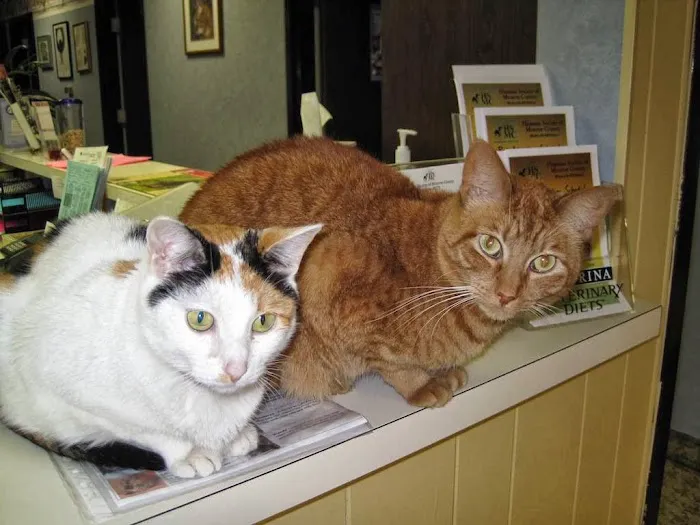 Columbia Animal Hospital Picture 9