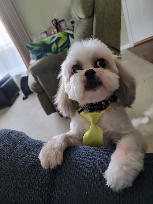 Bellson Animal Hospital Picture 1