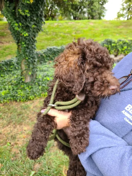 Bellson Animal Hospital Picture 7