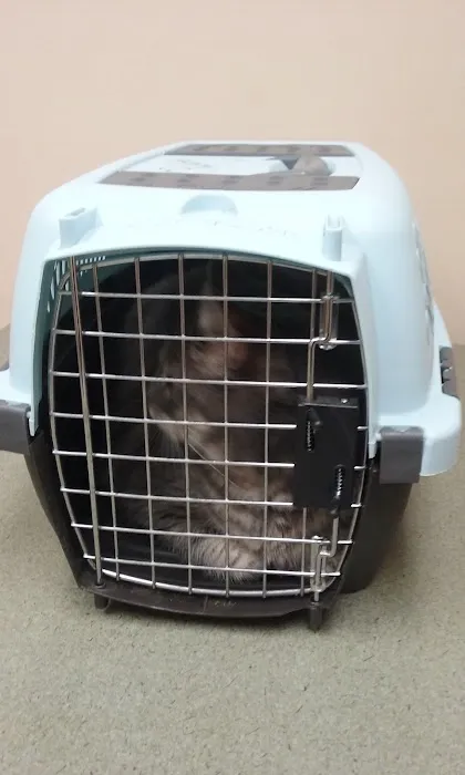 Bellson Animal Hospital Picture 6