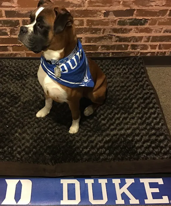 Bellson Animal Hospital Picture 8