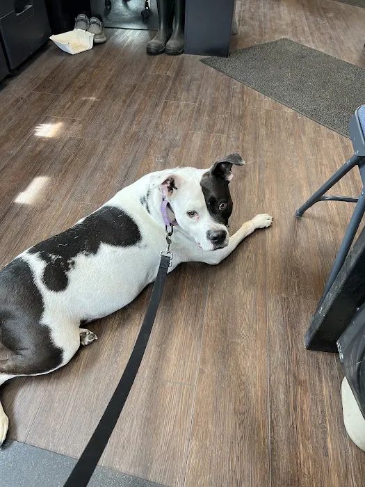 Binder Animal Hospital Picture 2