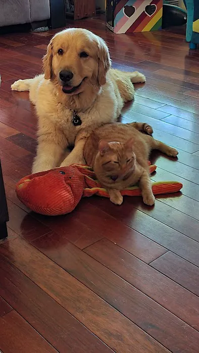 Binder Animal Hospital Picture 4