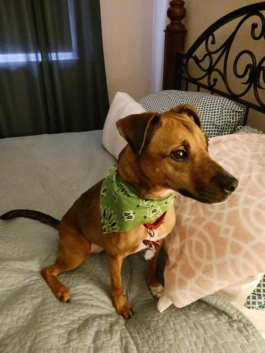 Binder Animal Hospital Picture 6