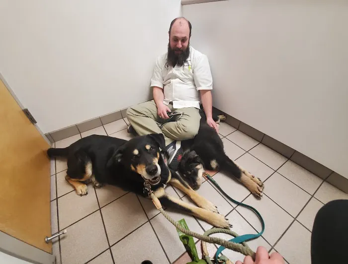 Binder Animal Hospital Picture 3