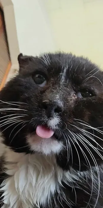 Binder Animal Hospital Picture 5