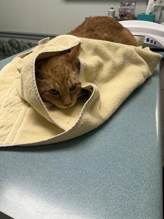 Binder Animal Hospital Picture 7