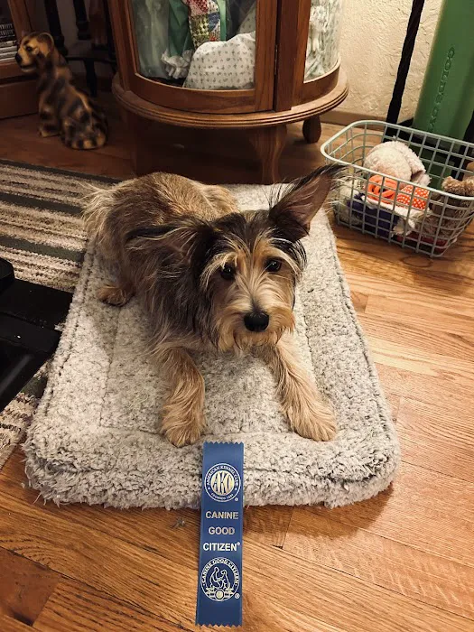 Binder Animal Hospital Picture 10