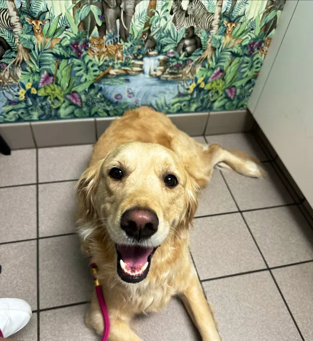 Binder Animal Hospital Picture 8