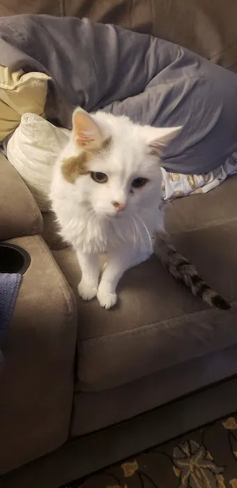 South County Veterinary Office Picture 2