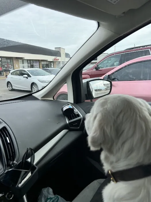 South County Veterinary Office Picture 6