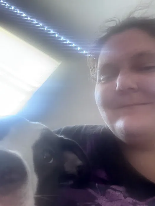 South County Veterinary Office Picture 7