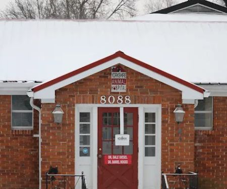 Yorkshire Animal Hospital