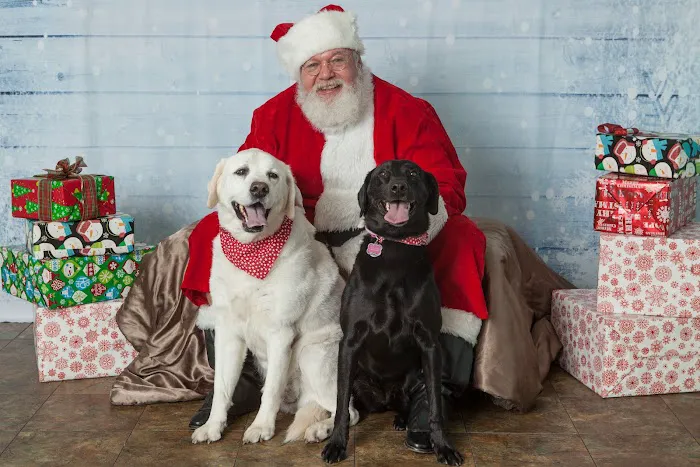 Yorkshire Animal Hospital Picture 4